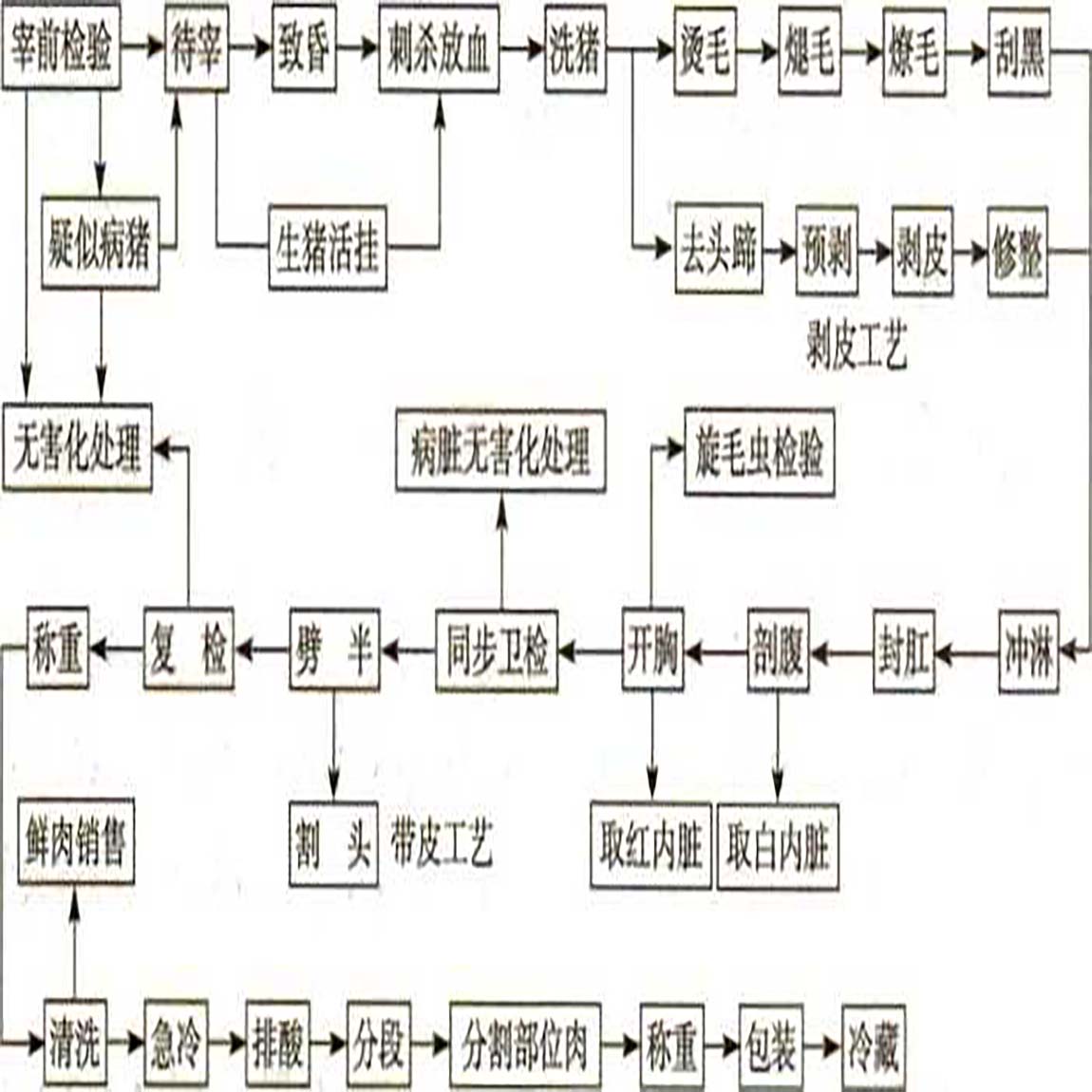 生豬屠宰加工工藝